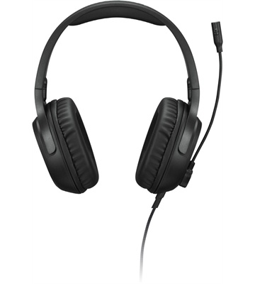 Lenovo H110 (schwarz)