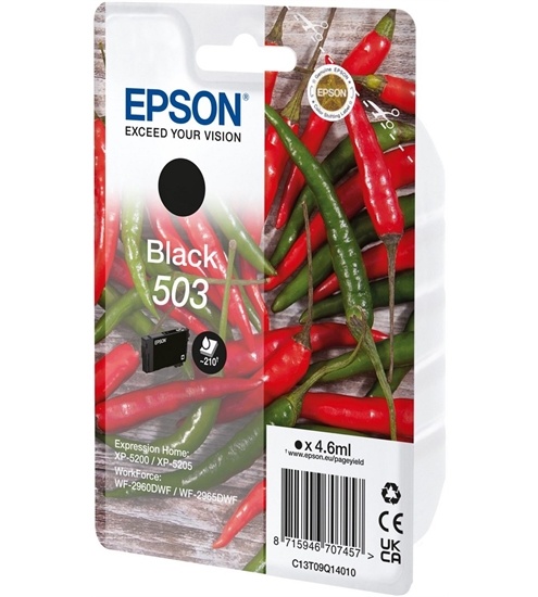 Epson 503