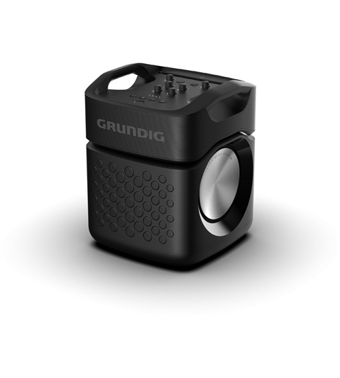 Grundig PartyHit Max