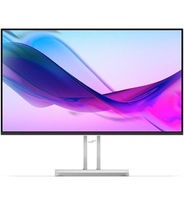 Lenovo L24i-4A - B-Ware