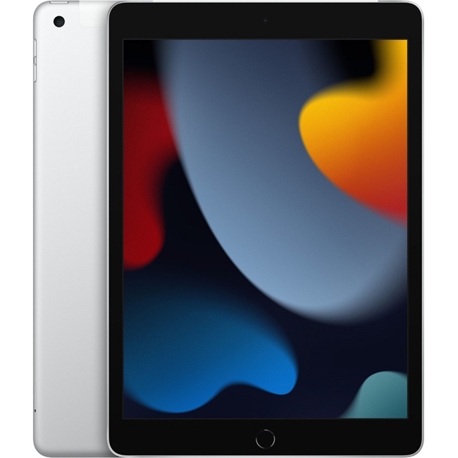 Apple iPad (256GB) WiFi + 4G
