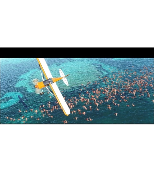 Microsoft Xbox Series X Flight Simulator