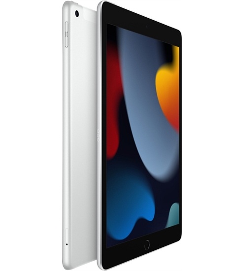 Apple iPad (256GB) WiFi + 4G