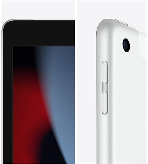 Apple iPad (256GB) WiFi + 4G