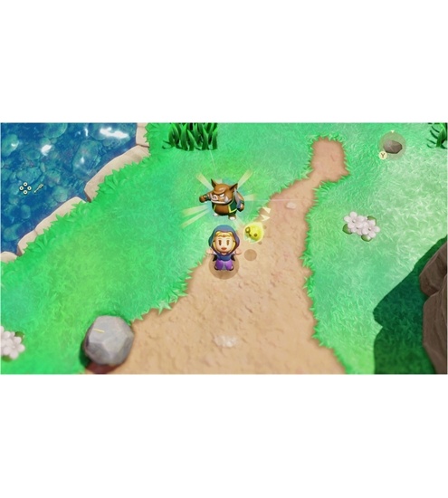 Nintendo Legend of Zelda: Echoes of Wisdom