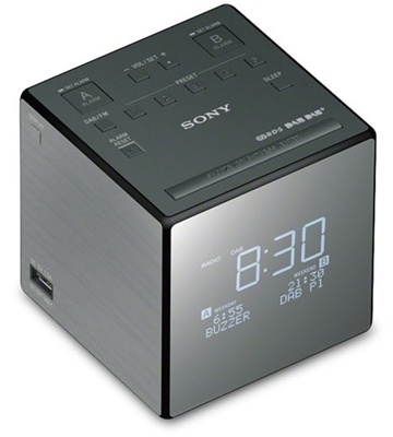 Sony XDR-C1DBP (silber/schwarz)