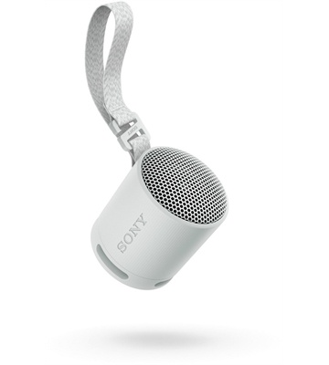 Sony SRS-XB100H (grau)